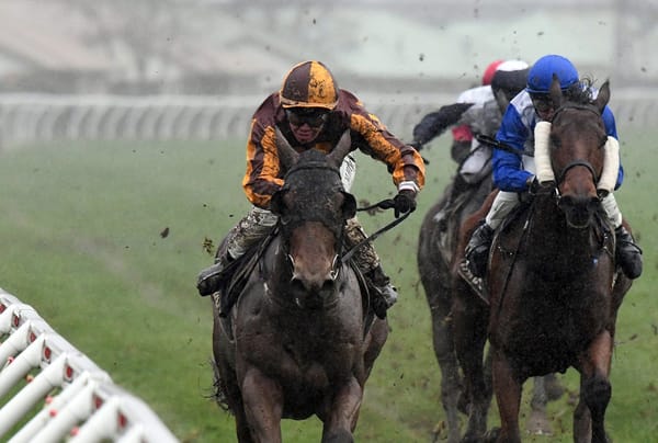 Sinbin back on top at favourite venue