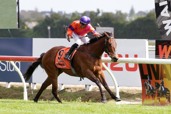 Big task ahead for Spencer in Ellerslie debut