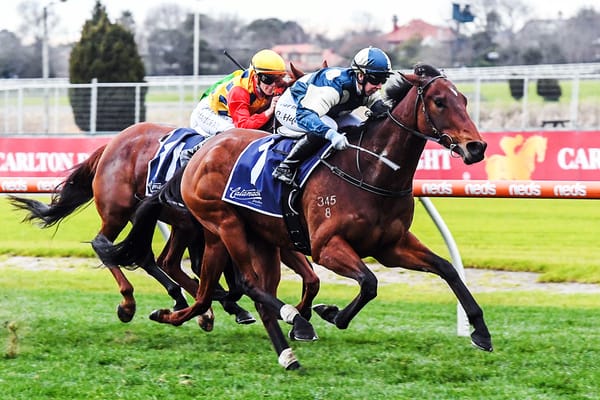 St Lawrence to step out for new stable
