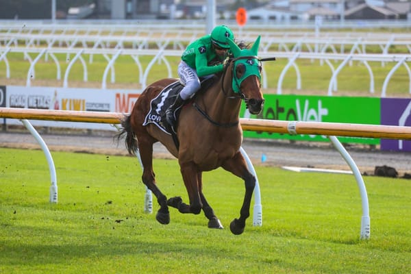 Taimate Diva digs deep for all-the-way win