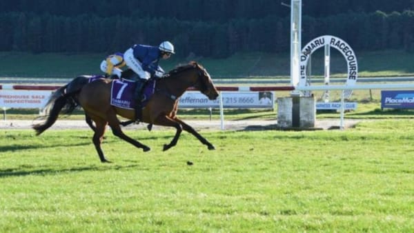 The Entertainer shines in winter cameo