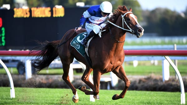 In-form filly on black-type trail in Brisbane