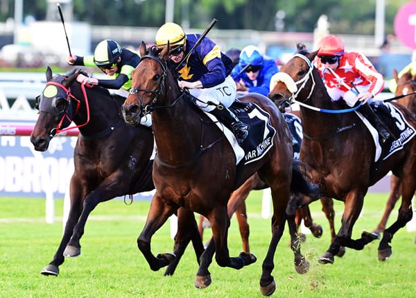 Poignant Stradbroke win for War Machine