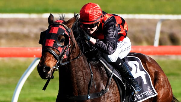 Strawbridge gains second win in a week in Kiwifruit Cup