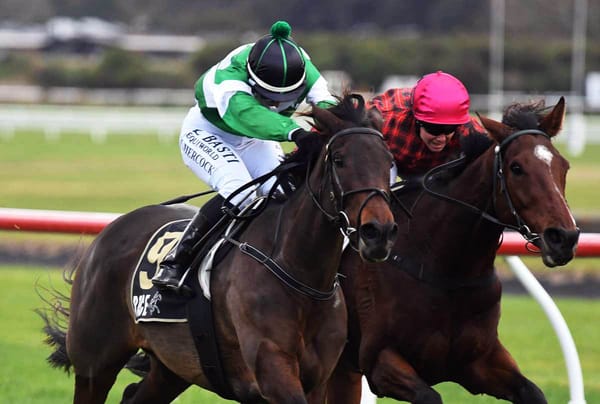 Local staying mare’s form hard to fault