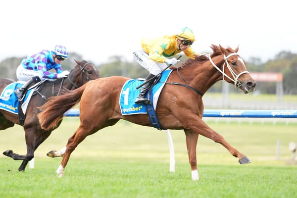 Proisir 3YO impresses at Sandown