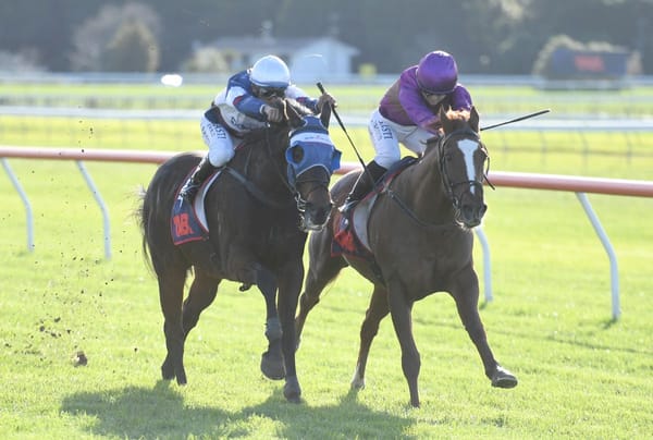 Big weight no concern for Belardo Boy