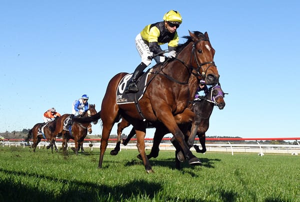 Beau the belle of Patterson’s Otaki contenders