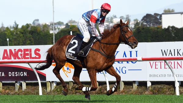 Star hurdler to resume at Otaki