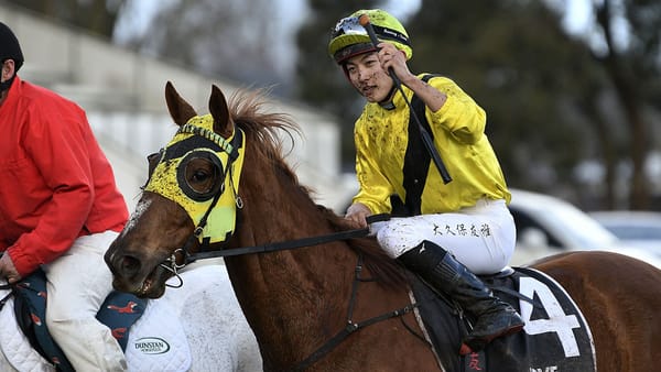 Te Awamutu Cup success for Drop Of Something