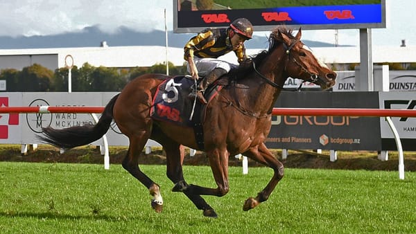 Family Folks opens New Zealand account