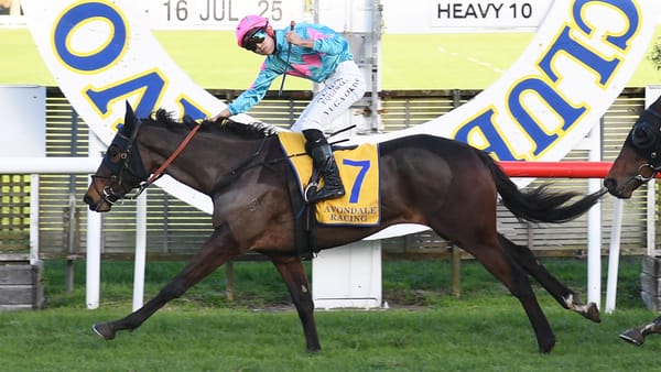 Perfect result for Falconer at Avondale