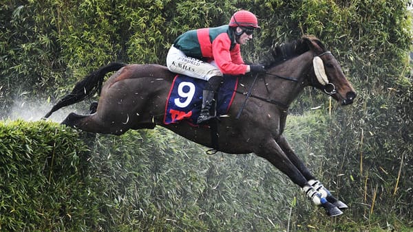 Jakama Krystal takes out the Waikato Hunt Cup