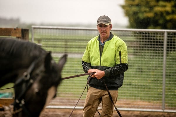 Brosnan hoping to build on recent milestone