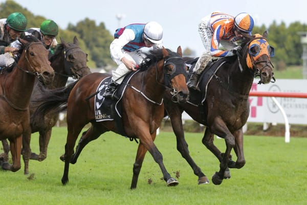 Jumping future ahead for tough Malborough Bay