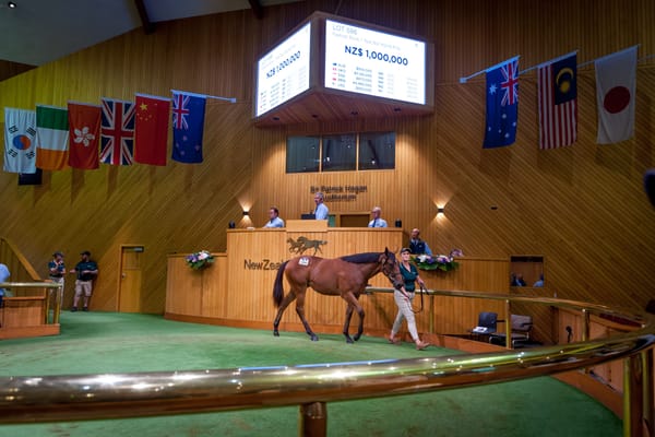 Entries Open for NZB’s 2025 Ready to Run Sale