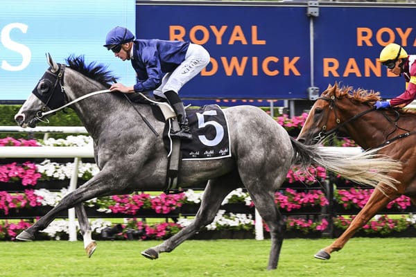 Smart Kiwi-bred three-year-old sold to Hong Kong