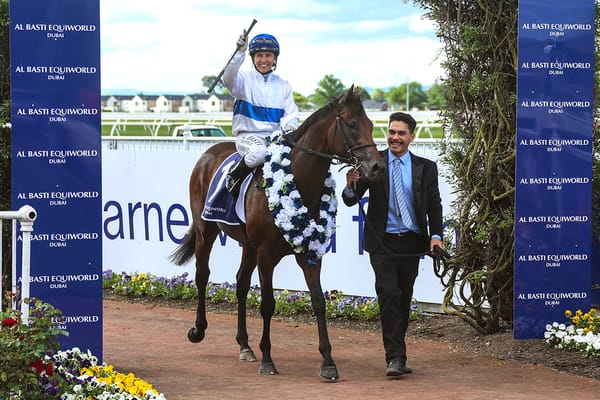 Connections in no hurry with high-class Savaglee