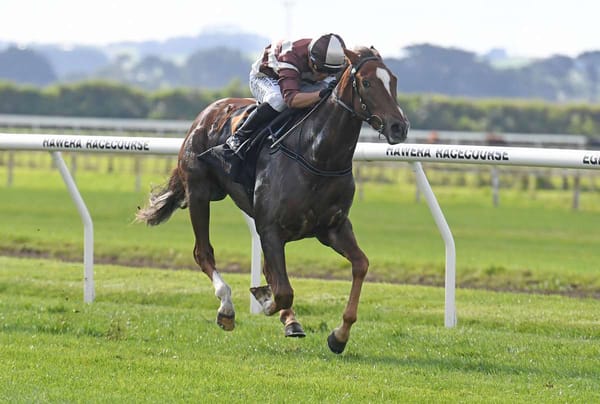 Gifted Spandeedo still a work in progress