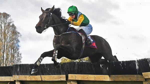 Callwood secures first New Zealand victory