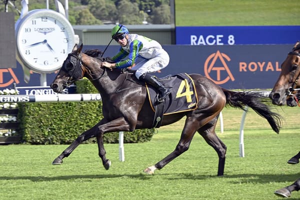 Waihaha Falls looking to bounce back at Te Rapa