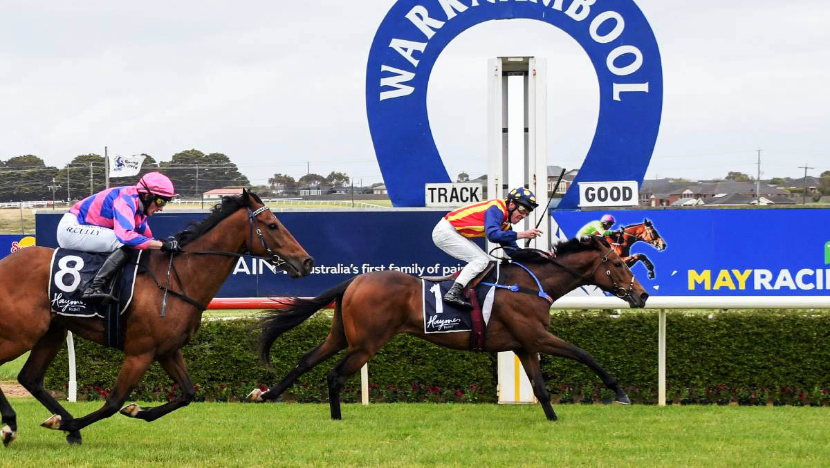 Fitting ANZAC winner of Jericho Cup NZ Racing News